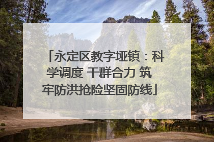 永定区教字垭镇：科学调度 干群合力 筑牢防洪抢险坚固防线